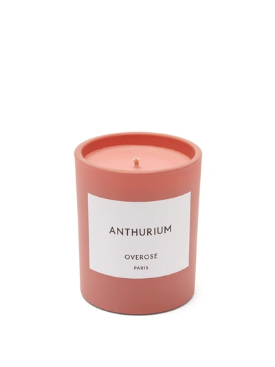 Overose Anthurium Scented Candle In Pink