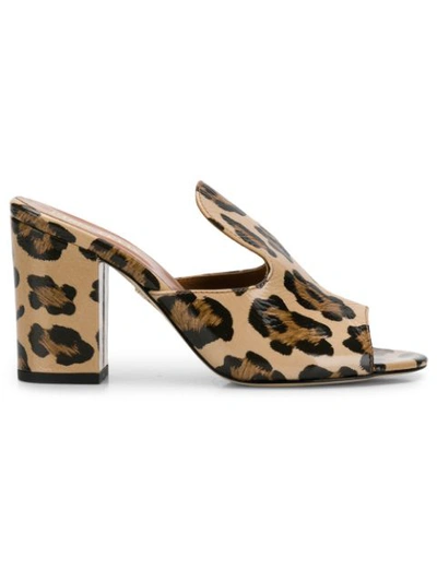 Paris Texas .leopard Print Sabot Mules In Naturale