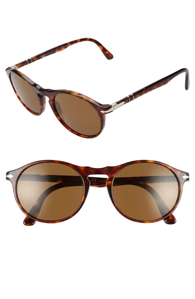 Persol 54mm Polarized Round Sunglasses In Havana Solid