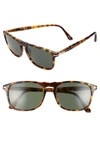 Persol 54mm Square Sunglasses In Brown Tortoise/ Green Solid