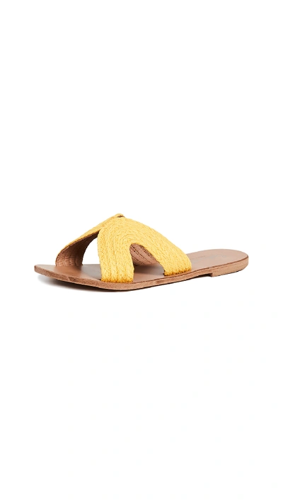 Splendid Sydney Woven Slide Sandal In Yellow