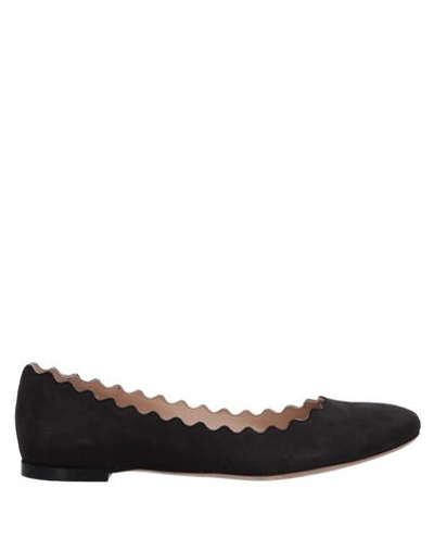 Chloé Ballet Flats In Steel Grey