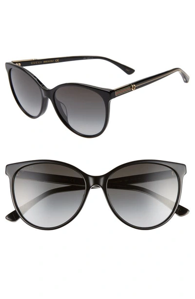 Gucci Round Acetate Sunglasses W/ Web & Logo Temples In Black