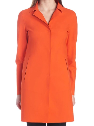 Herno Coat In Orange