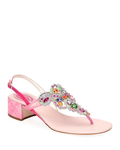 René Caovilla Embroidered Satin/lace Block-heel Sandals In Pink/green