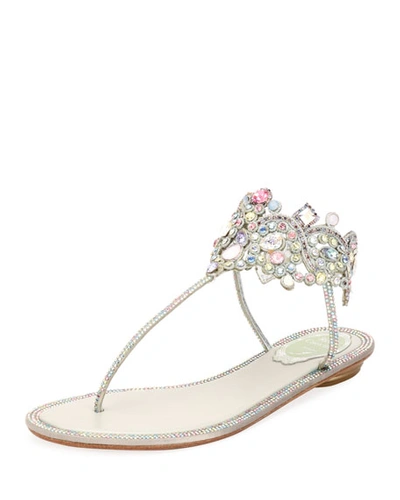 René Caovilla Flat Thong Sandal With Multi-crystal Ankle Wrap In Gray