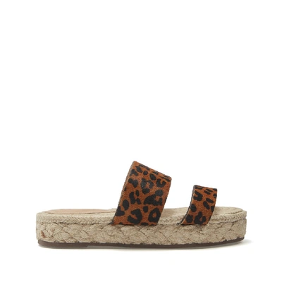 Schutz Lis Flat Sandal In Sandstone Leopard