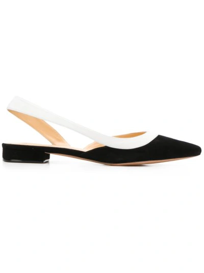 Alexandre Birman Wavee Leather-trimmed Suede Slingback Point-toe Flats In Black/white