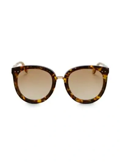 Bottega Veneta Women's Timeless Elegance 62mm Cat Eye Sunglasses In Havana/brown