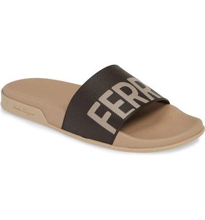 Ferragamo Men's Amos Slide Sandals