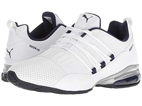 puma cell regulate sl