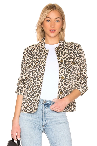 Amuse Society Isabela Jacket In Leopard