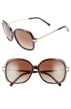 Michael Kors 57mm Gradient Square Sunglasses In Tortoise/ Gold/ Brown Gradient