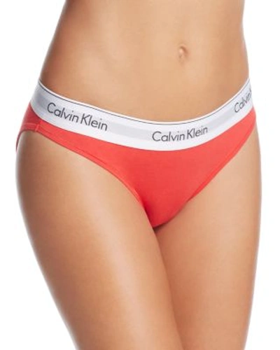 Calvin Klein 'modern Cotton Collection' Cotton Blend Bikini In Black Empower