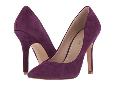Charles By Charles David Maxx Pointy Toe Pump In Regal Purple Suede
