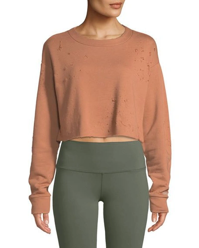 Alo Yoga Fierce Distressed Crewneck Cropped Pullover Sweatshirt In Henna