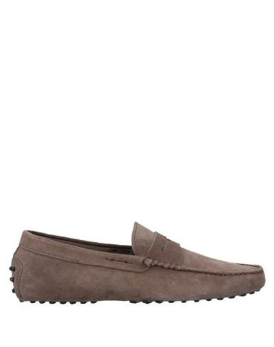 Tod's Loafers In Cocoa