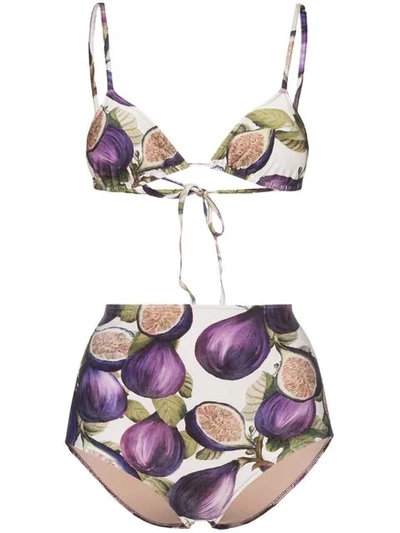 Adriana Degreas Fig Print High Waist Bottom Bikini In Purple