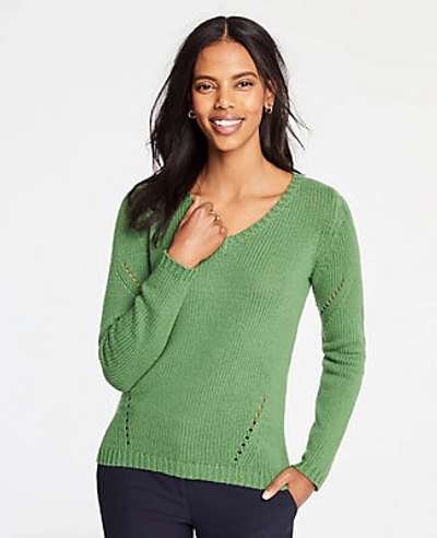 Ann Taylor Petite Pointelle V-neck Sweater In Fresh Willow