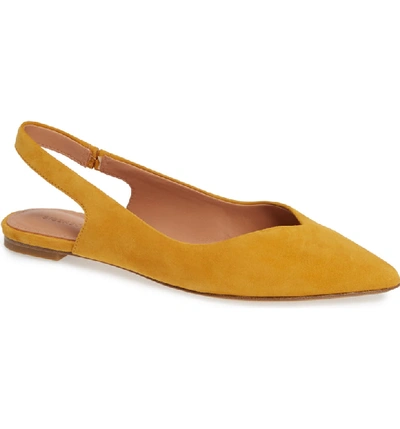Sigerson Morrison Women's Sunshine Slingback Pointed-toe Flats In Sunflower