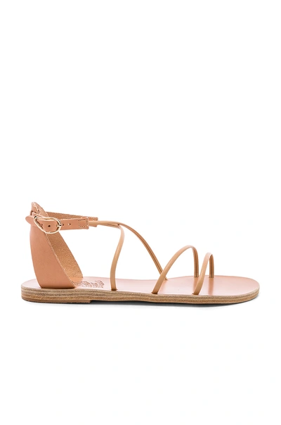 Ancient Greek Sandals Melivoia Sandal In Tan. In Natural