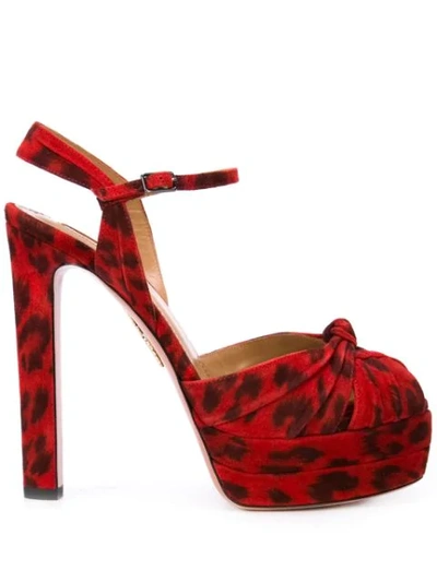 Aquazzura Evita Leopard-print Suede Platform Sandals In Red