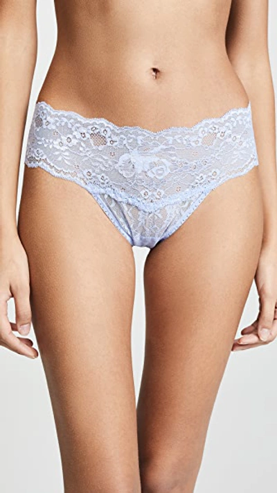 Hanky Panky American Beauty Rose Natural Rise Thong In Bonnie Blue
