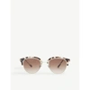 Giorgio Armani 0ar8117 Phantos Sunglasses In Brown/matte Cream