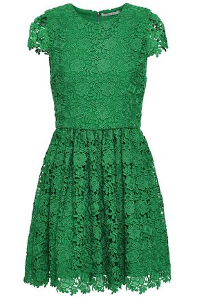 Alice And Olivia Woman Macramé Mini Dress Green