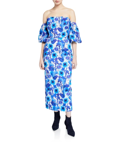 Borgo De Nor Adelita Off-the-shoulder Floral-poplin Dress In Blue Pattern