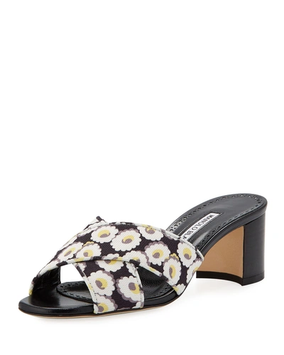 Manolo Blahnik Otawi Floral Crisscross Slide Samdals In Black/white