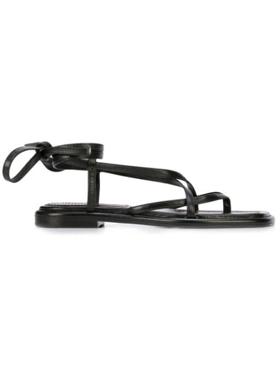 Proenza Schouler Strappy Flat Sandals In Black