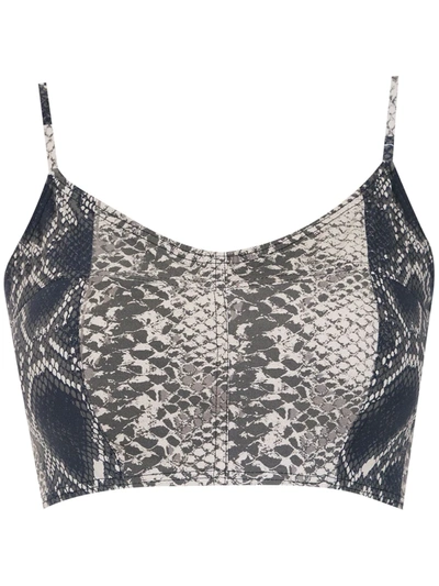 Amir Slama Printed Cropped Top In Brown