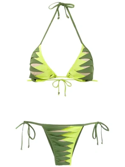 Amir Slama Printed Bikini In Green
