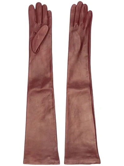 N°21 Long Leather Gloves In 4522