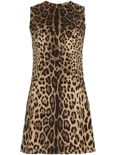 Dolce & Gabbana Leopard-printed Dress In Black