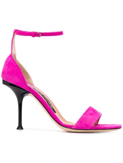 Sergio Rossi Sr Milano Sandals In Pink