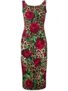 Dolce & Gabbana Embellished Printed Midi Dress In Brown
