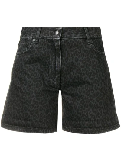 Mcq By Alexander Mcqueen Denim Leopard Shorts In Black