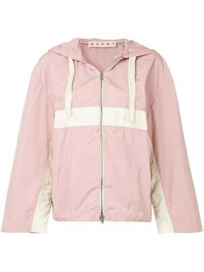 Marni Colour-block Hooded Jacket In Pink