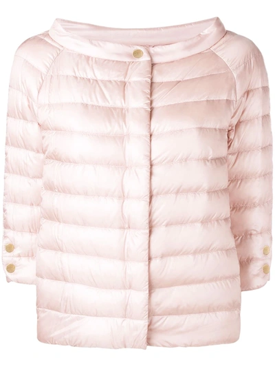 Herno Snap Button Padded Jacket In Pink