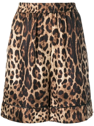 Dolce & Gabbana Leopard Print Shorts In Brown