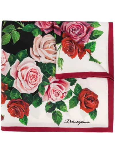 Dolce & Gabbana Rose Print Scarf - Pink