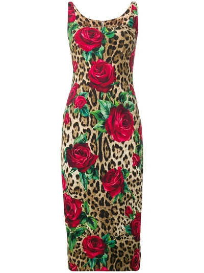 Dolce & Gabbana Leopard And Floral Print Fitted Dress - Brown