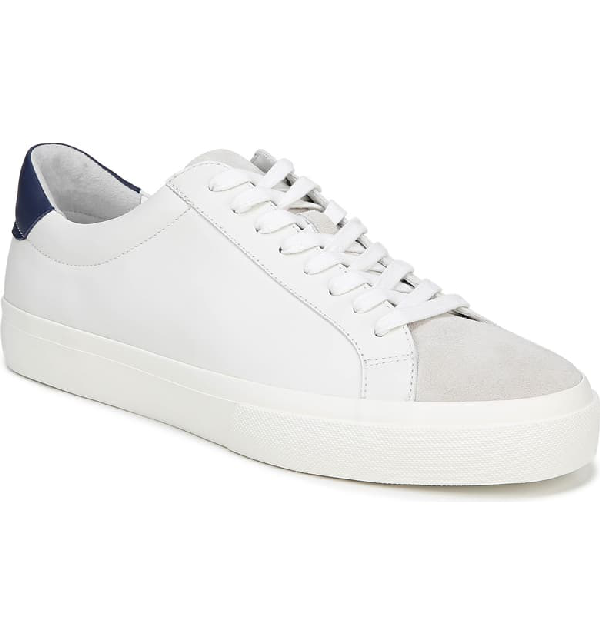 vince white sneakers