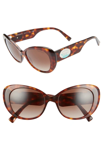 Tiffany & Co Return To Tiffany 54mm Oval Sunglasses - Brown Gradient