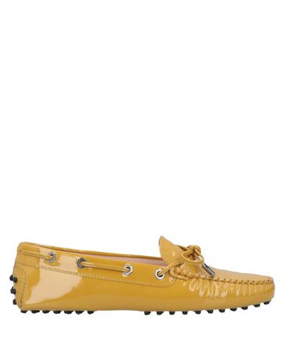 Tod's Loafers In Ocher