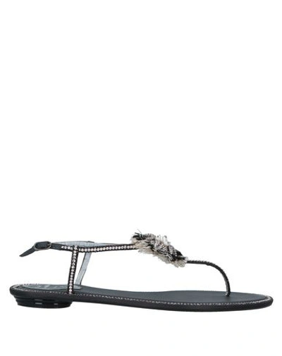 René Caovilla Flip Flops In Black