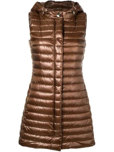Herno Zipped Padded Gilet In Brown