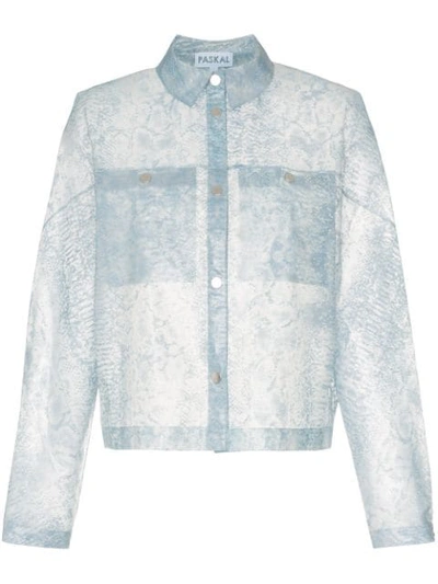 Paskal Reflective Translucent Printed Jacket In Blue